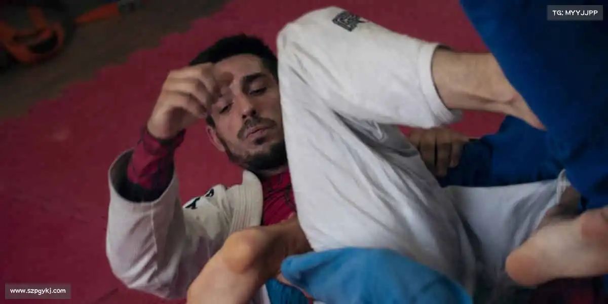 1XBET官网——🎯飞镖靶心,例无虚发!